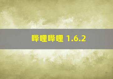 哔哩哔哩 1.6.2